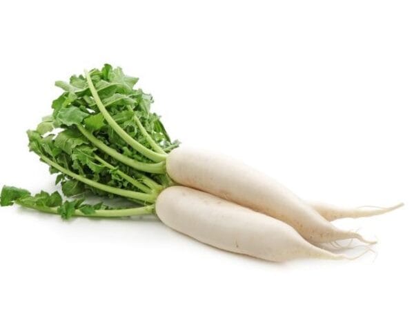 Radish White  -1 kg - سفید مولی